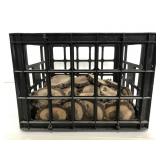 Collection of wood crafting discs