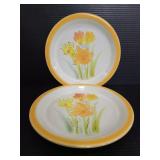 Endura by Wellin 517 hand painted plates