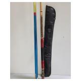 Two billiard sticks with case