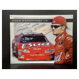 Dale Earnhardt Jr tin sign