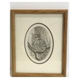 Original framed Owl ink drawing
