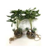Pair of hanging dwarf umbrella faux plants