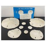 Collection of sand dollars shells w/ postcards