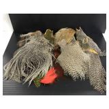 Collection of feather pelt pieces