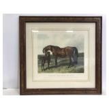 Forests Series of the Mothers horse print