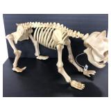 Animated plastic cat like skeleton creature