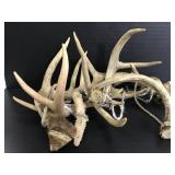 Deer call antlers
