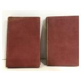 Two 1929 dectective story books