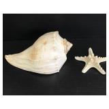 Seashell & starfish bathroom decor pieces