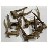 Collection of old deer antlers