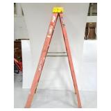 Werner Pro series ladder