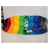 Symphony Beach color spectrum kite