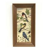 Framed Kay Dee handprints linen bird picture