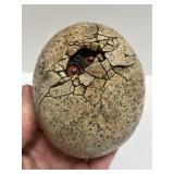 Windstone Edition hatching baby gargoyle egg