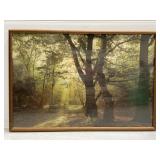 Forest Paths by Tony Stone large framed lithograph