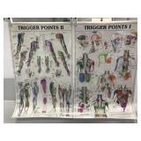Laminated Trigger Point 1 & 2 posters