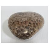 Large polished Petoskey stone