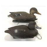 Pair of Plastic duck decoys
