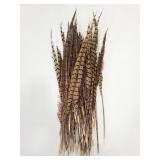 Collection of pheasant feathers