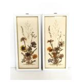 Two framed dried flower art