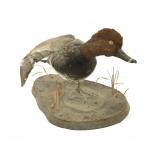 Taxidermy stuffed duck