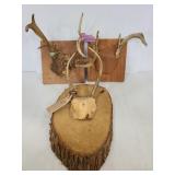 Three mounted buck antlers