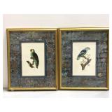 Two gold framed handmade parrot/ parakeet art