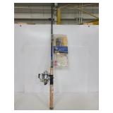 Fishing pole with reel and hooks