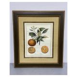 Arancia a Foglia large frames orange print