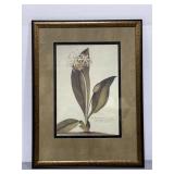 Botanical II by G. Egret large framed print