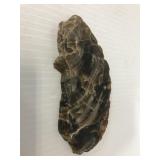 Polished slab of likely petrified wood