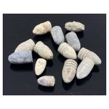 Collection of 13 Civil War bullets