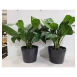 Two faux potted plants home decor
