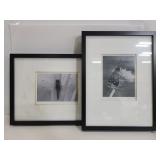 Two Chelsea Collection framed bug photos