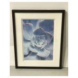 Framed Succulent print