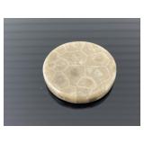 Polished Michigan Petoskey stone medallion