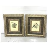 Pair of bird prints in beautiful gold frames