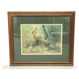 Travis Keese quail Covey framed print
