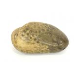 Large petosky stone 5x3 in.