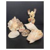Shell bunny, large Conch shell & more