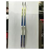 Fischer artic crown fibre Salomon skis