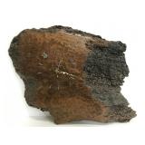 Vintage burl wood wall clock