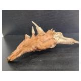 Unique piec of driftwood