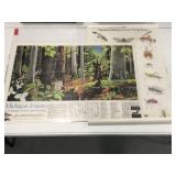 Two vintage wildlife/ insect Forest posters
