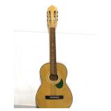 Five string acoustic guitar