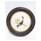 Arnold Fitzpatrick 1972 round framed bird art