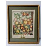 Vintage framed fruit print