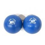 Pair of Walk Away Weights balls