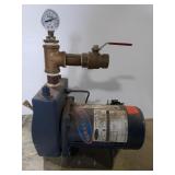 Berkeley pump