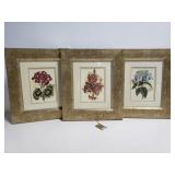 August company framed floral art trio
